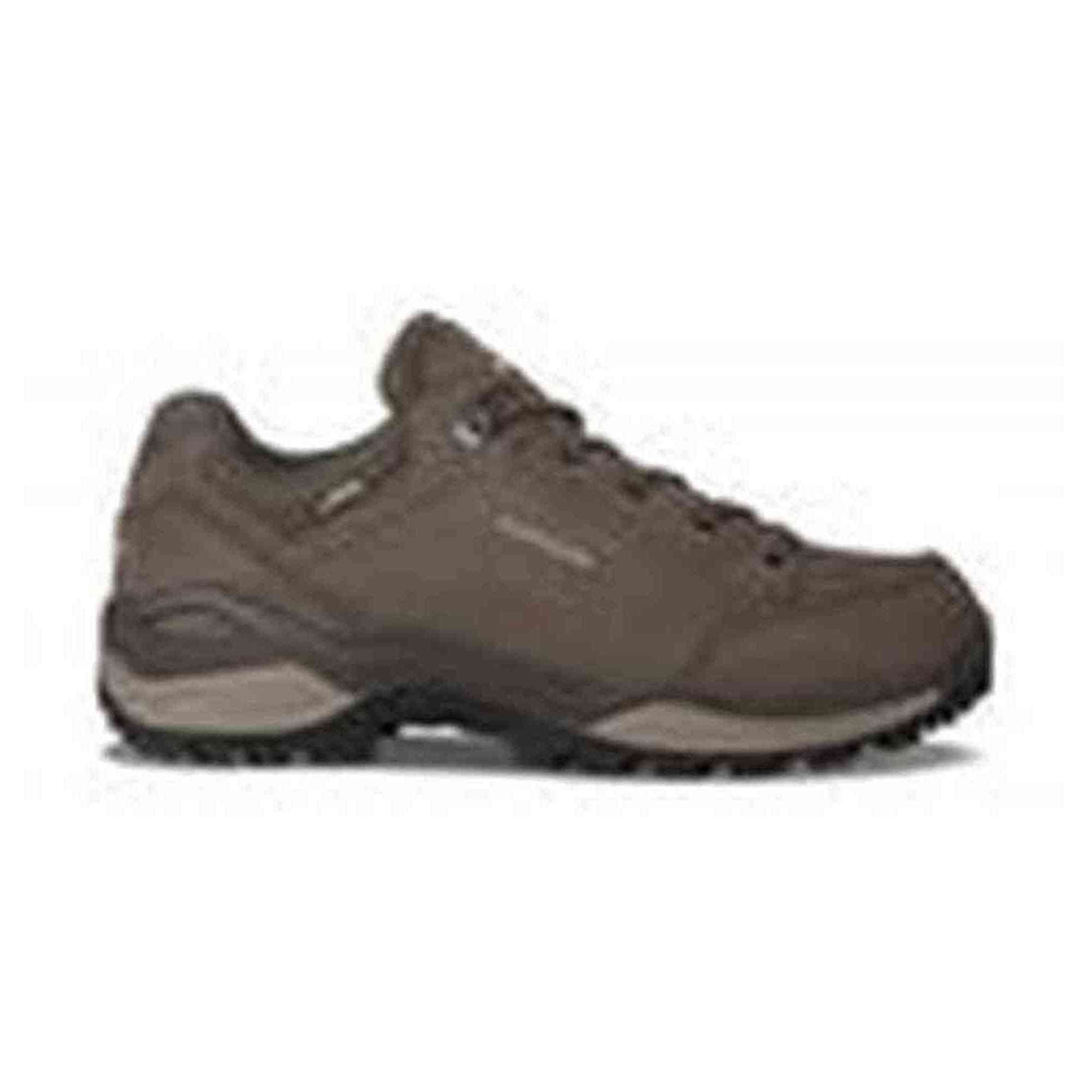 Lowa - Renegade GTX Low Dames